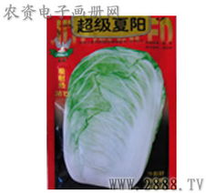 山东寿光丽林蔬菜种子公司 优质蔬菜种子的信赖之选