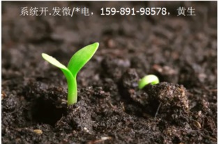 构建蔬菜种子追溯系统 从田间到餐桌的全程信任方案