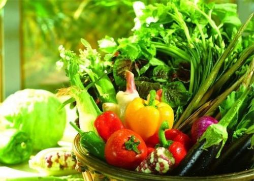 蔬食与蔬源 营养师李捷老师专访揭秘素食的力量',